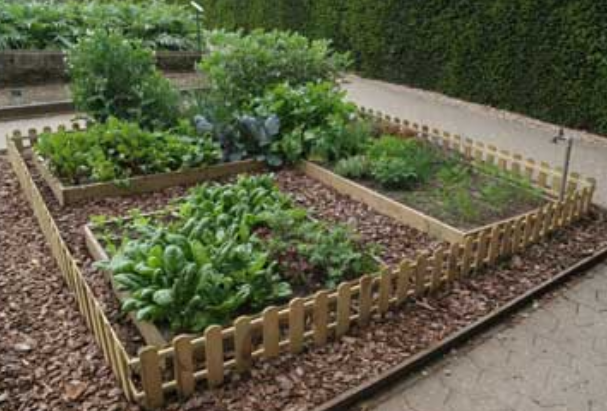 Great vegetable garden plans pictures.PNG