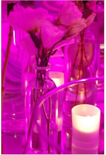 Bright Pink wedding center pieces picture.jpg