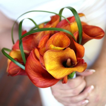 photo of mango calla lilly bouquet for weddings.jpg