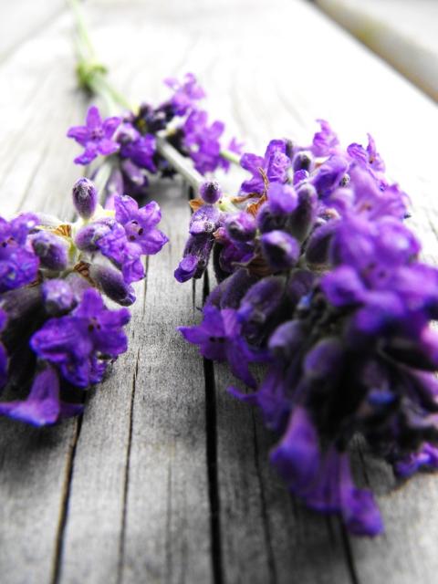 lavender flower bouquet.jpg
