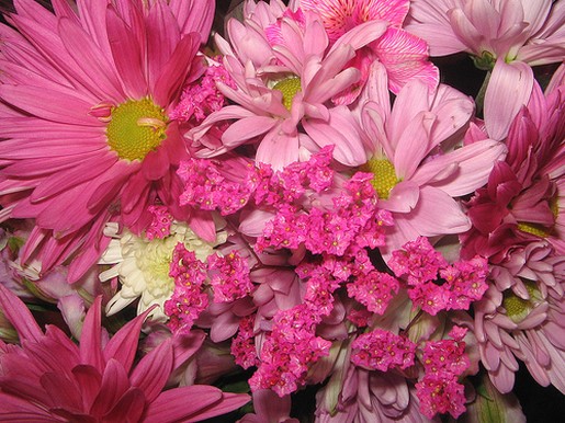pink daisies wedding bouquet.jpg