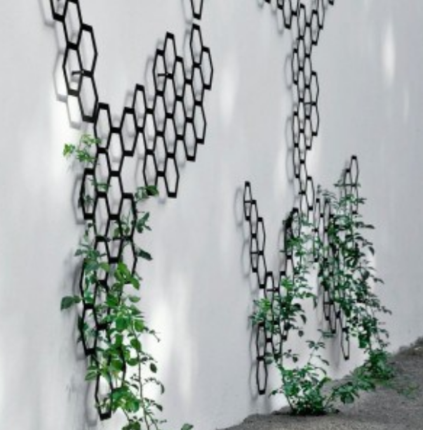 Modern gardens decor pictures of honeycomb trellis.PNG