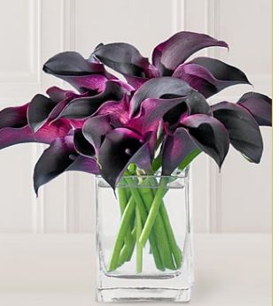 Stylish Hot Chocolate Mini Calla flowers centerpiece.JPG