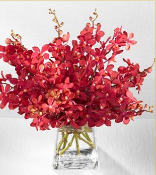 Vera Wang Garnet Orchid flowers center piece.JPG