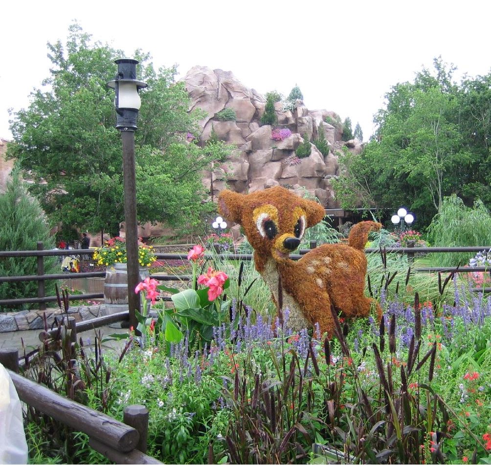 best garden flowers.JPG