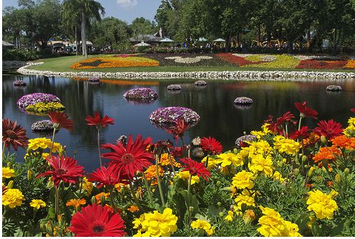 epcot international flower and garden.JPG