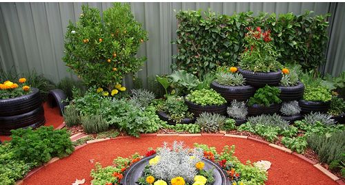 garden flower guide.JPG