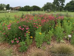 Lady Bird Johnson Wildflower Center Photos