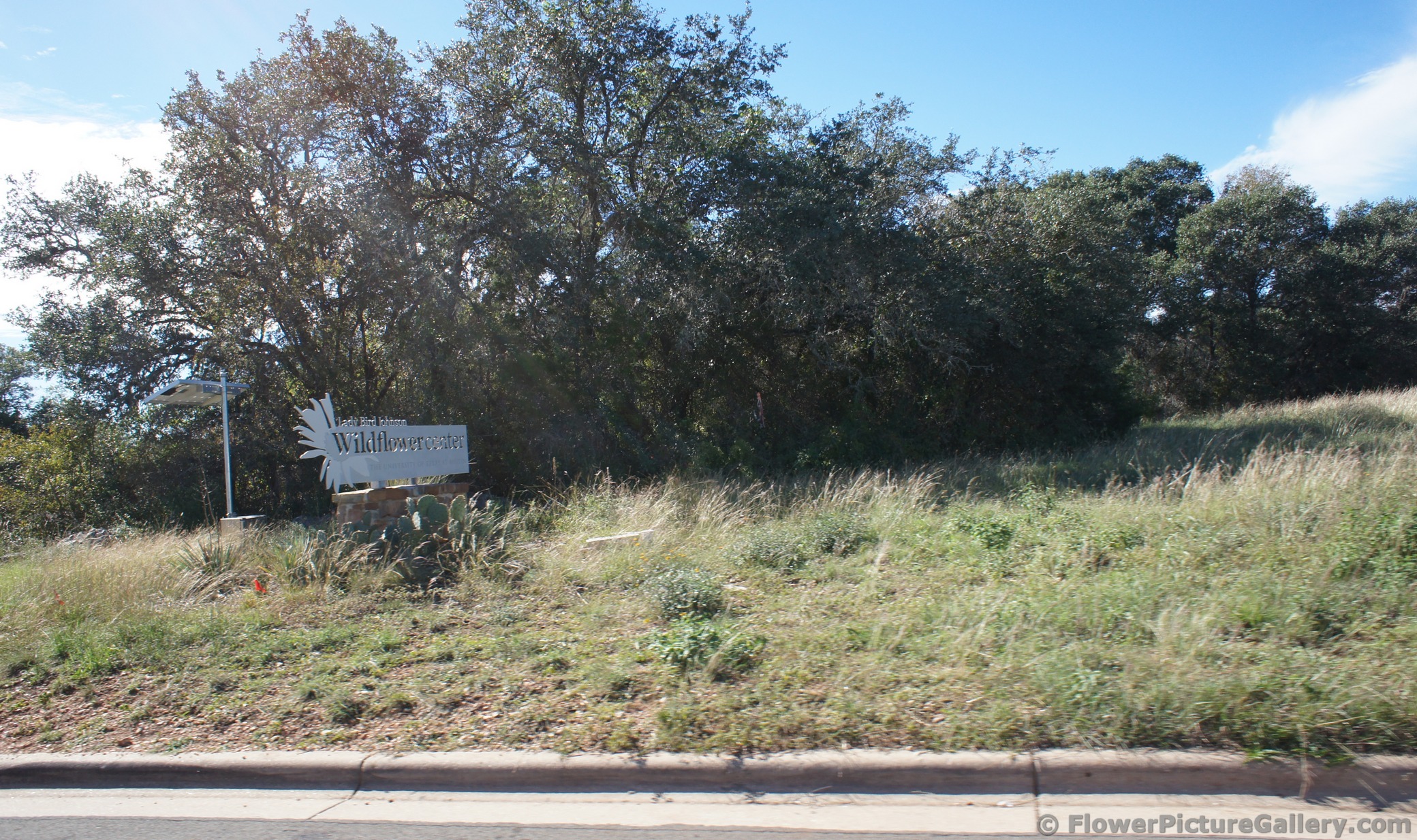 Sign for Lady Bird Johnson Wildflower Center.jpg