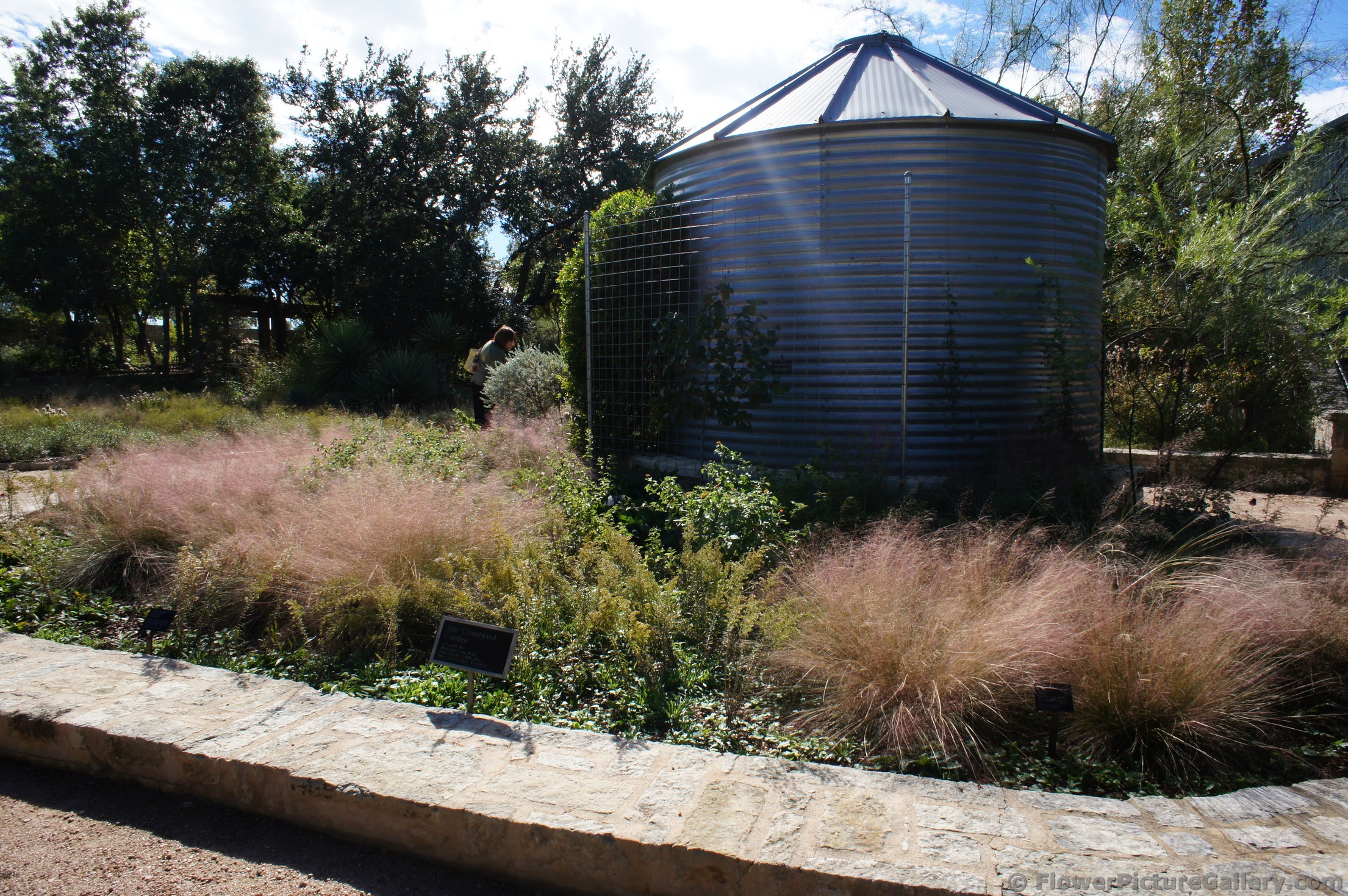 Seed Silo at Lady Bird Johnson Wildflower Center.jpg