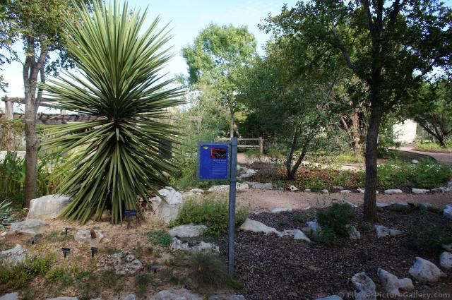 Rocky Knoll area of Lady Bird Johnson Wildflower Center.jpg