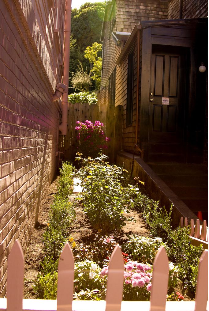 homemade flowers for a garden.JPG