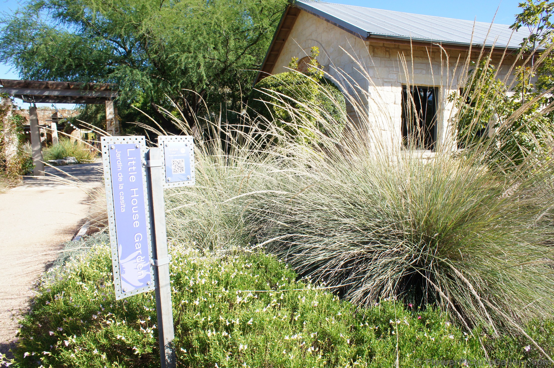 Little House Garden at Lady Bird Johnson Wildflower Center.jpg