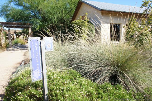 Little House Garden at Lady Bird Johnson Wildflower Center.jpg