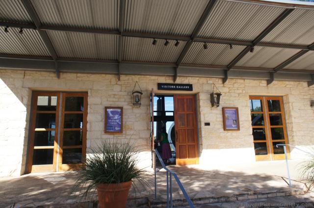 Lady Bird Johnson Wildflower Center Visitors Gallery entrance.jpg