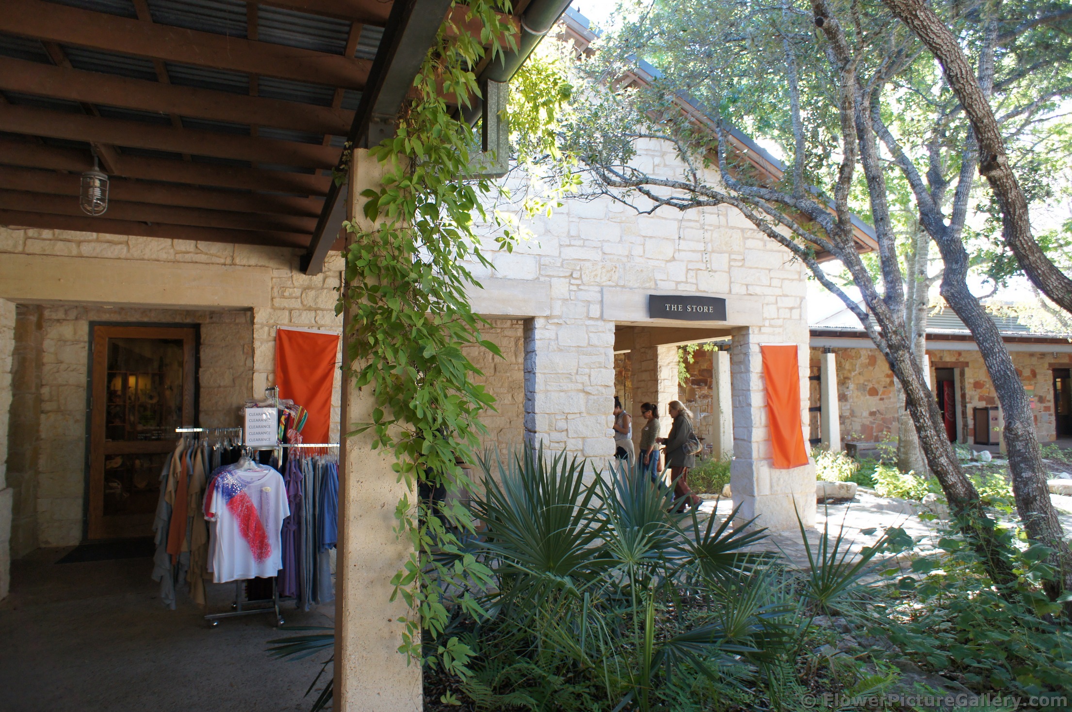 Lady Bird Johnson Wildflower Center Store entrance.jpg
