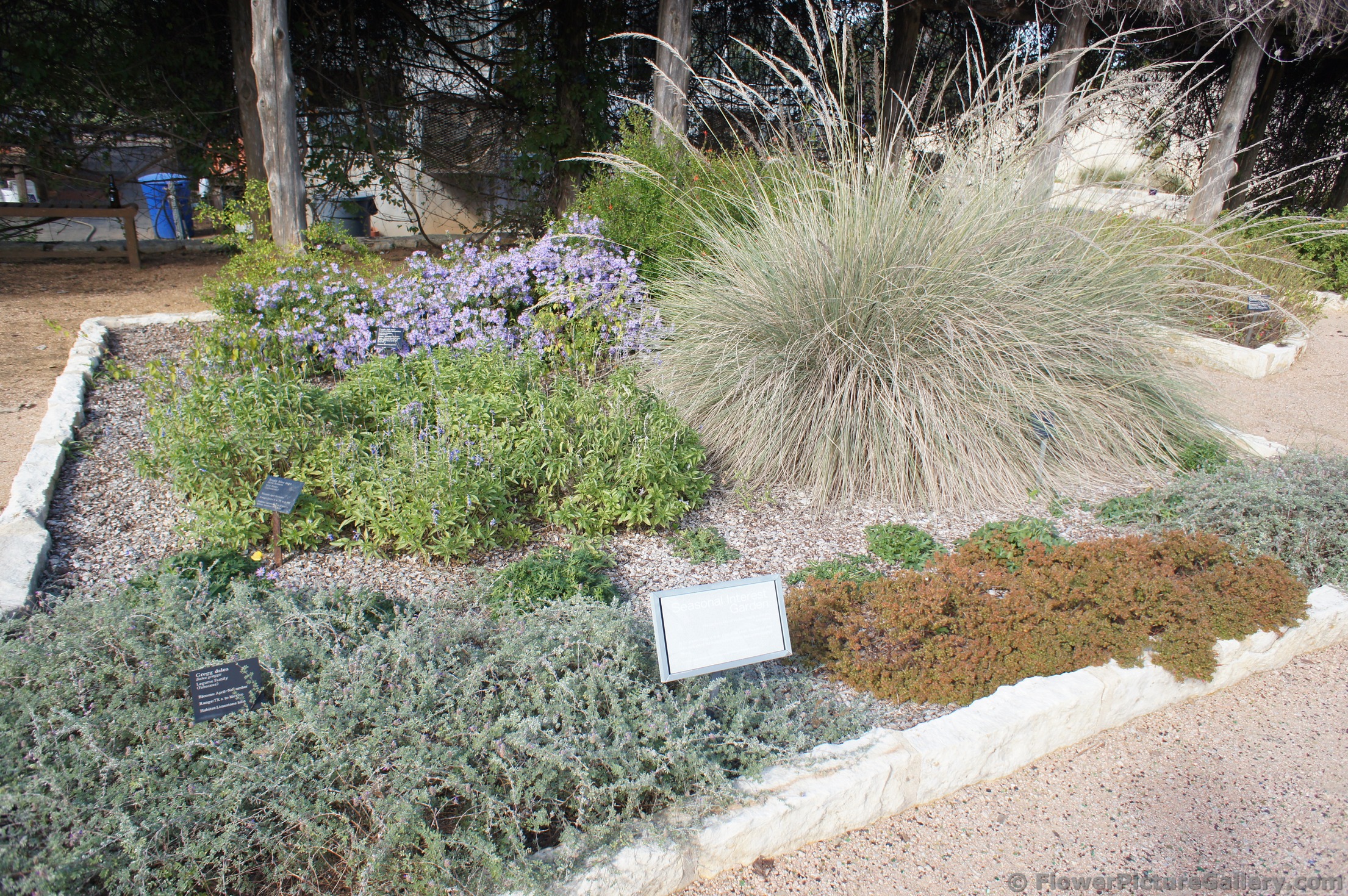Dry weather garden at Lady Bird Johnson Wildflower Center.jpg