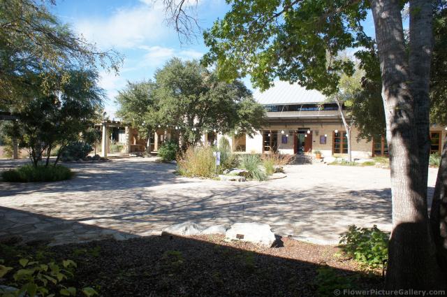Central courtyard of Lady Bird Johnson Wildflower Center.jpg