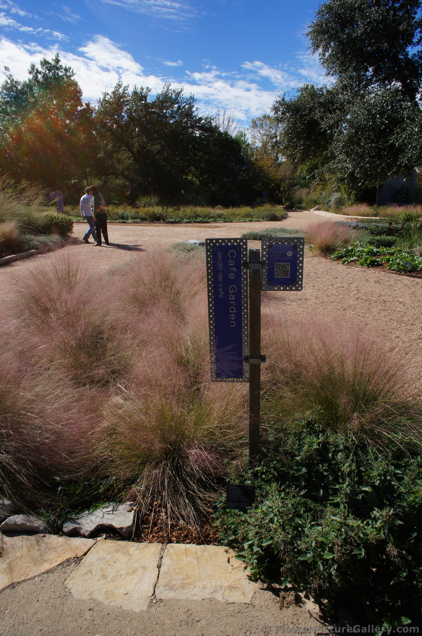Cafe Garden at Lady Bird Johnson Wildflower Center.jpg
