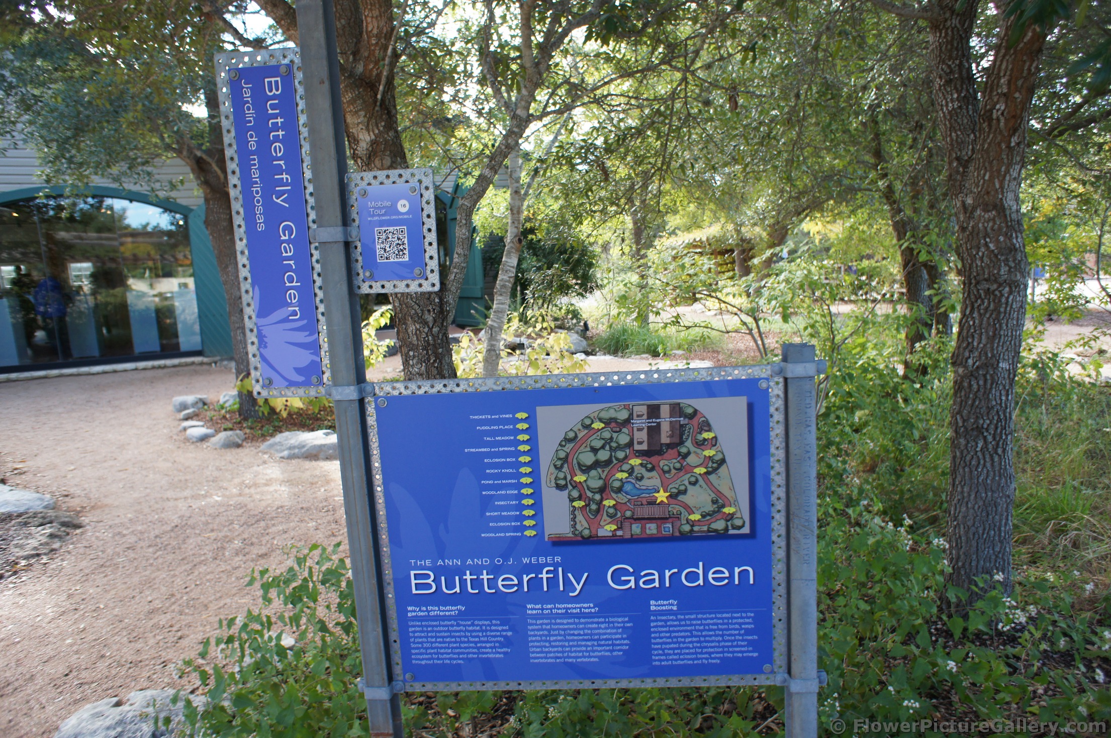 Butterfly Garden map at Lady Bird Johnson Wildflower Center.jpg