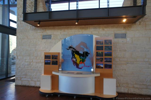 Biome display inside Lady Bird Johnson Wildflower Center Visitors Gallery.jpg