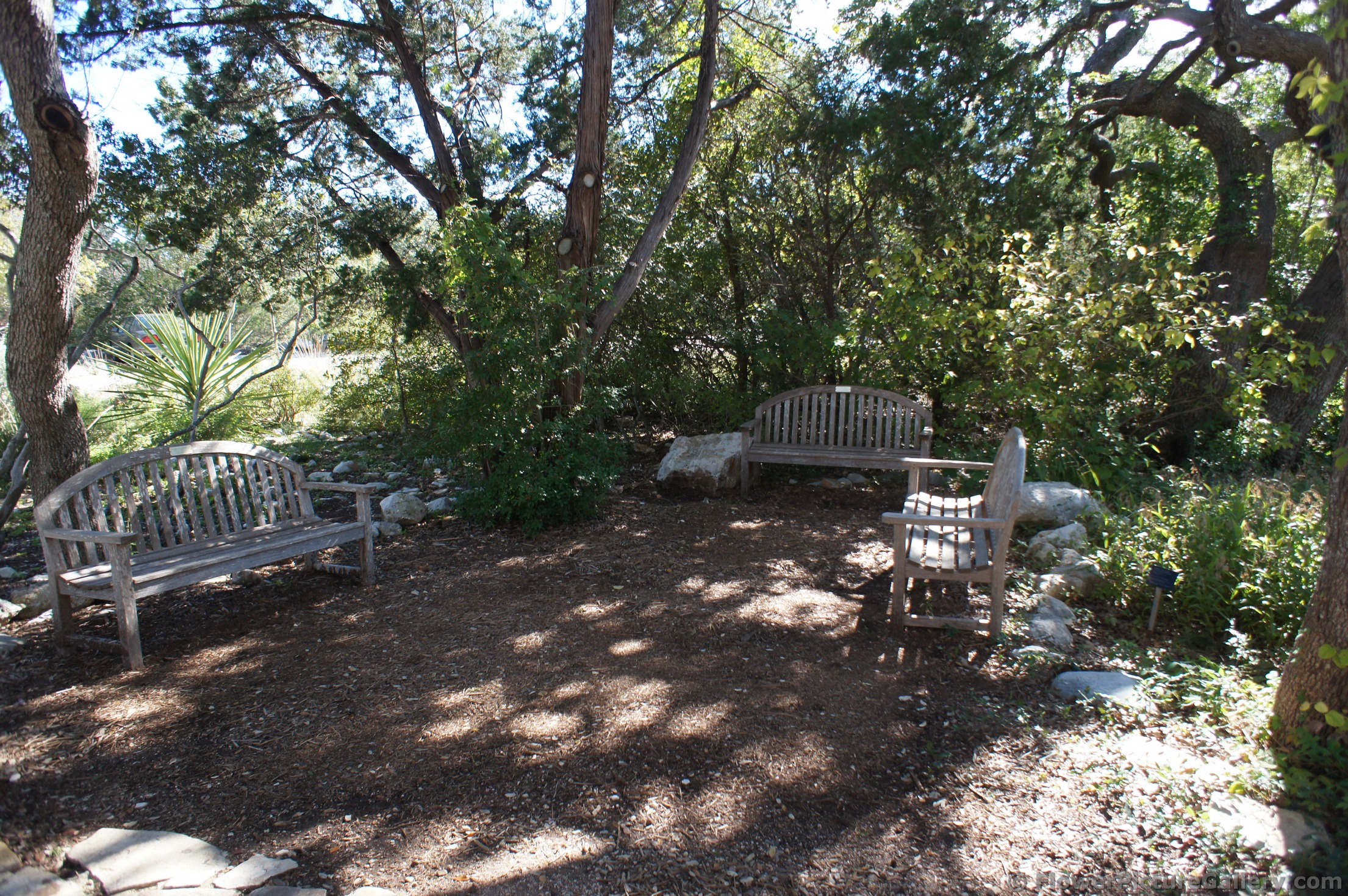 Benches near entrance to Lady Bird Johnson Wildflower Center.jpg