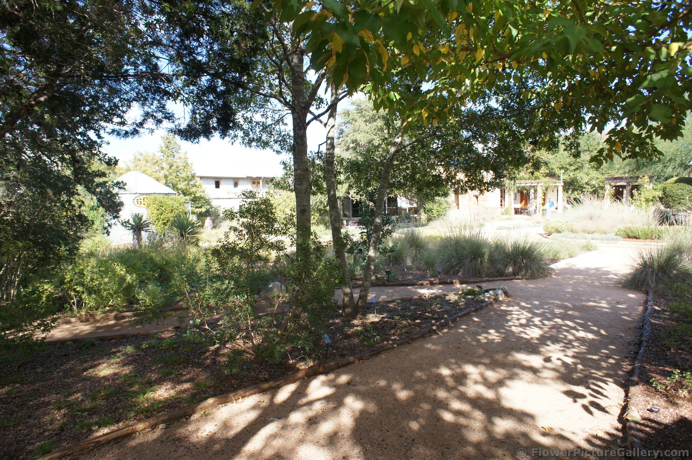 Walking paths between gardens at Lady Bird Johnson Wildflower Center.jpg