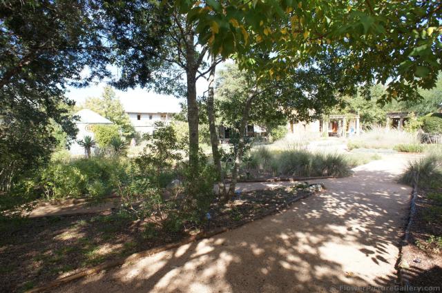 Walking paths between gardens at Lady Bird Johnson Wildflower Center.jpg