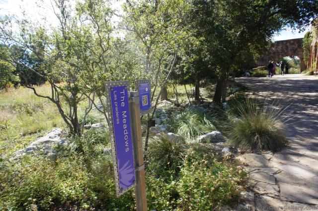 The Meadows area at Lady Bird Johnson Wildflower Center.jpg