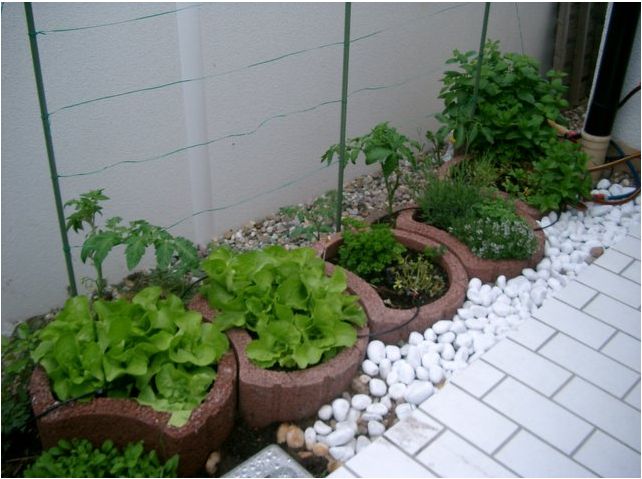 Rose Garden Flowers Herbs Germany images.JPG
