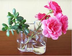 Glass arrangement with bright pink flowers and green photos.JPG