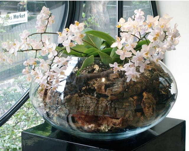 glass round arrangement with small white flowers photos.JPG