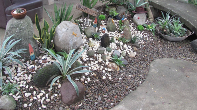 Cool cactus garden with small and big size cactus.PNG