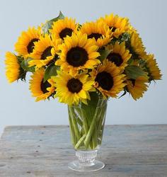 Image of Yellow Sunflower arrangement with glass vase.JPG