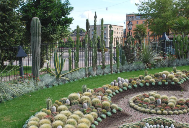 Public cactus garden with full round cactus and other kinds.PNG