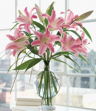 Pink lily flowers in cool round glass vase photo.JPG