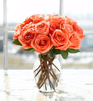 Bright orange roses arrangement in glass vase photo.JPG