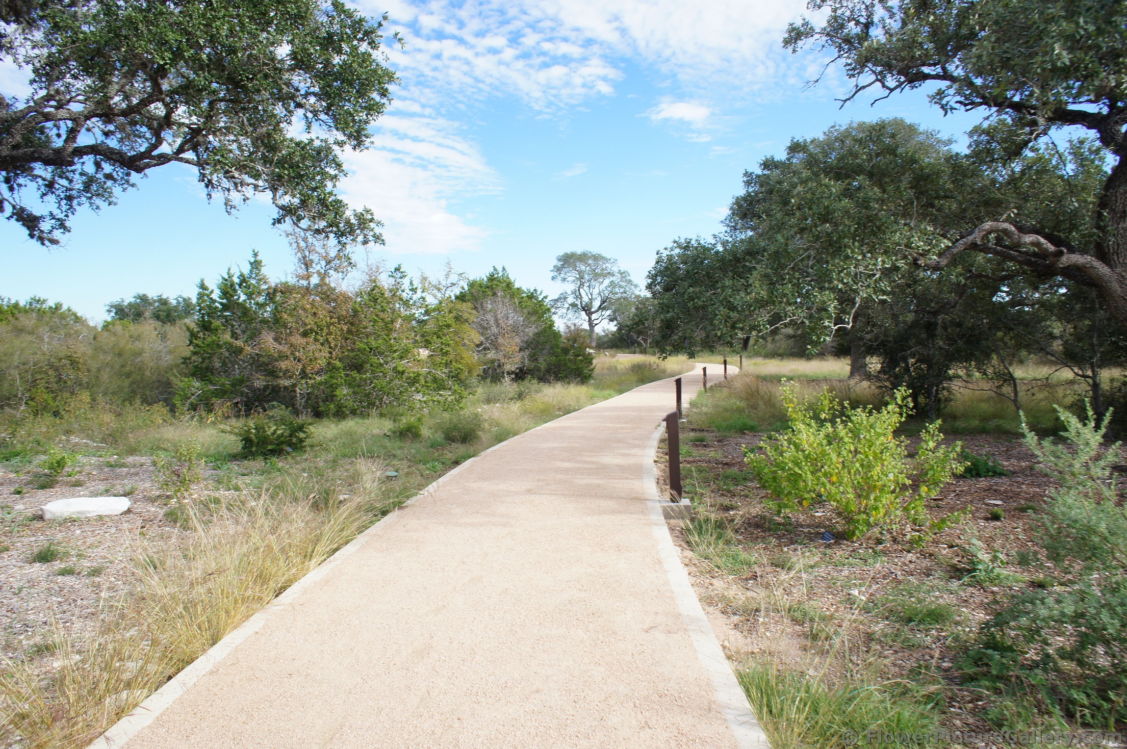 Trail at Lady Bird Johnson Wildflower Center.jpg