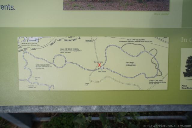 Map of trails at Lady Bird Johnson Wildflower Center.jpg