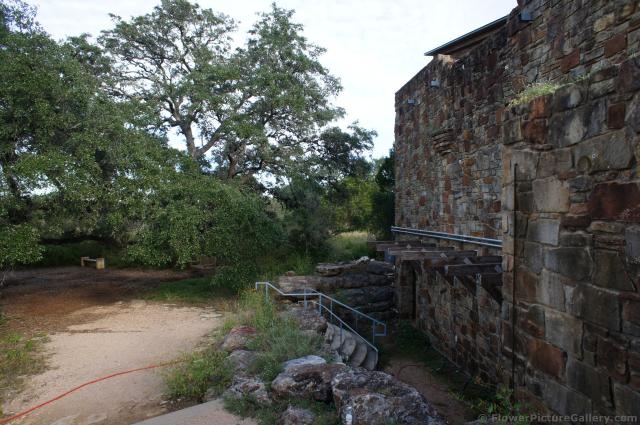 Back of Browne Auditorium Lady Bird Johnson Wildflower Center.jpg