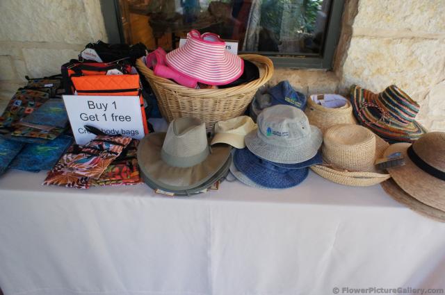 Buy 1 Get 1 Free Deal at Lady Bird Johnson Wildflower Center.jpg
